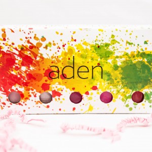 Aden Nailpolish set Prettybox